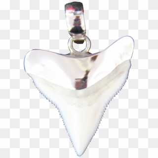 Shark Tooth - Pendant Clipart