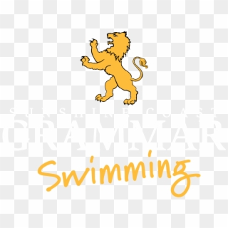 Sunshine Coast Grammar Swimming Club Offers A Seamless - Hanover College Clipart