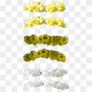 Free Png Yellow Flower Crown Transparent Png Image - Green And Yellow Flower Crown Clipart