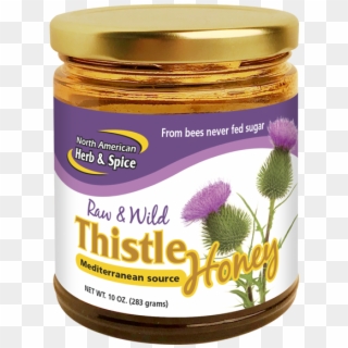Wild Thistle Honey - Purple Coneflower Clipart
