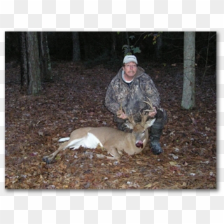 Whitetail Deer Hunting - Deer Hunting Clipart