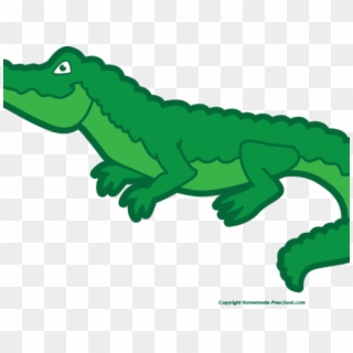 Alligator Clipart Preschool - Nile Crocodile - Png Download
