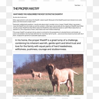 Dragonhall Mastiffs - Ancient Dog Breeds Clipart