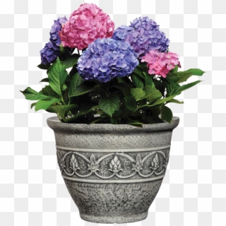 What Varieties Need To Cover - Flowerpot Clipart