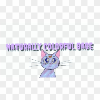 Naturally Colorful Babes - Domestic Short-haired Cat Clipart