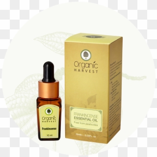 Frankincense Essential Oil - Cosmetics Clipart