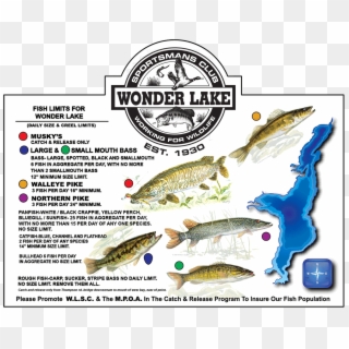 Fish-chart - Wonder Lake Fishing Clipart