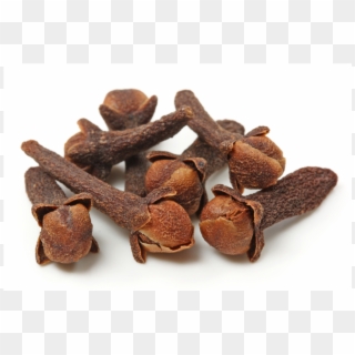 Cloves Png - Dried Clove Clipart
