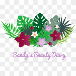 Sandy's Beauty Diary - Qantu Clipart