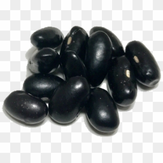 Valentine Heirloom Dry Beans - Pebble Clipart