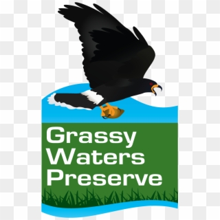 Cypress Boardwalk Trail - Grassy Waters Preserve Logo Clipart