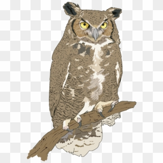 Cut Clipart - Realistic Owl Clip Art - Png Download