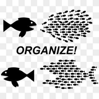 Organization Teamwork Fish Organize Revolution - Organize Fish Clipart