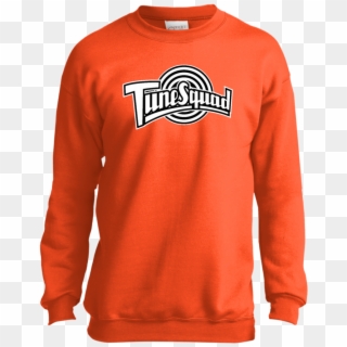 Tune Squad Black Youth Sweatshirt Sweatshirts - Houston Astros Hoodie Png Clipart
