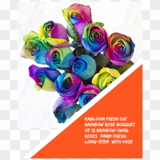 Kabloom Fresh Cut Rainbow Rose Bouquet Of 12 Rainbow - Rainbow Rose Clipart