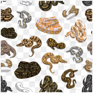 Ball Python Morph Pattern Transparent Wallpaper - Ball Python Pattern Morph Clipart