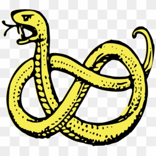 Python Clip Art - Coat Of Arms Symbols Snake - Png Download