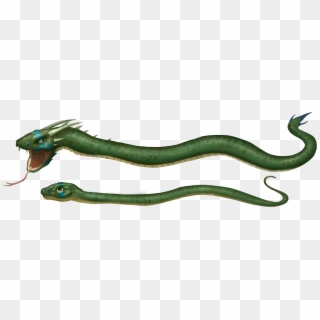 Concept Art Of Snarth's Exclusive Early Access Skin - Slender Blind Snake Clipart