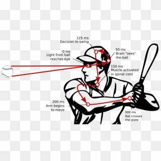 It Takes At Least 300 Ms For A Baseball Hitter To See - Reaction Time Sport Clipart - Png Download