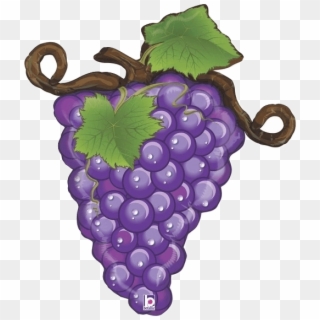 Grapes Purple Clipart