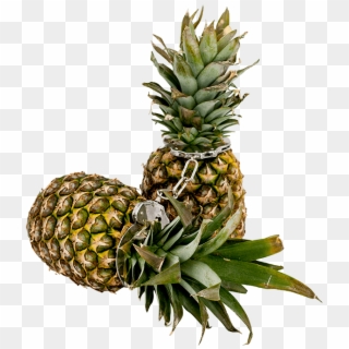 Ananas - Pineapple Clipart
