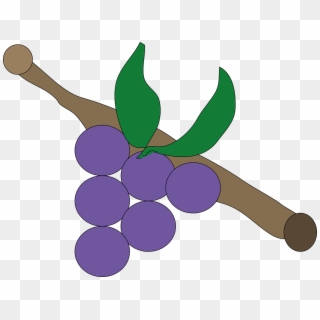 Grape Lila Purple - Üzüm Çizimi Clipart