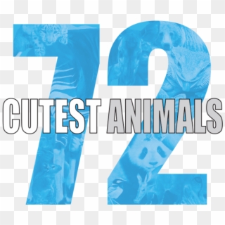 72 Cutest Animals - Graphic Design Clipart