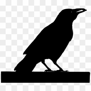 Download Png - Crow Clipart