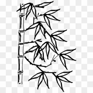 Bamboo Plant Leaves Chinese - Bamboo Black And White Clipart