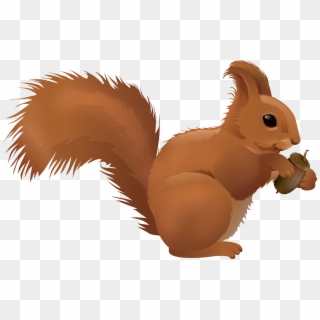 View Full Size - Fox Squirrel Clipart