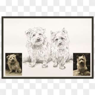 Original Drawing Two Dogs - Keeshond Clipart