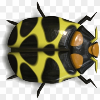 Download Ladybug Black And Yellow Transparent Png - Imagenes De Insectos En Png Clipart