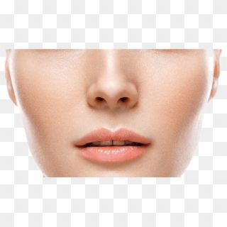 Nose Png Image Background - Transparent Background Nose Png Clipart