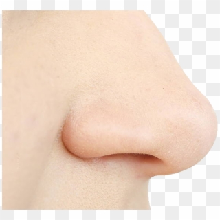 Nose Clipart Human - Png Download