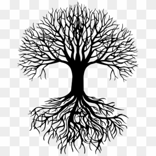Roots Drawing Oak Tree - Tree Roots Silhouette Png Clipart