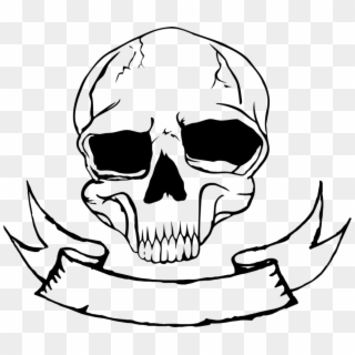 Skull Nose Human Skeleton Bone - Bone Clipart