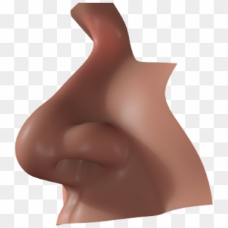 Nose Realistic Nose Human Nose 3d Model - Sculpture Clipart