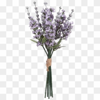 Pngs /like Or Reblog If Used/ - English Lavender Clipart