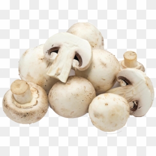 Mushroom Png Clipart