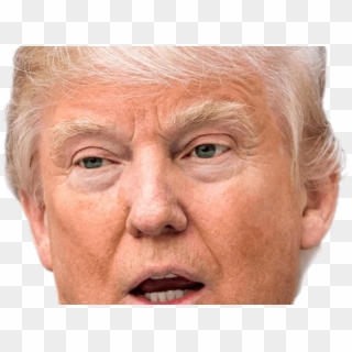 Head Clipart Donald Trump - Meme Im Already Tracer - Png Download