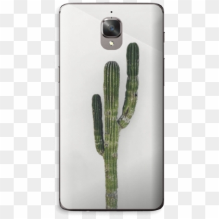 Mexican Cactus Skin Oneplus - San Pedro Cactus Clipart