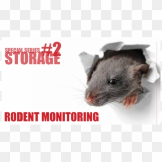 Remote Rodent Monitoring Can Improve The Entire Pest - Raptor Clipart