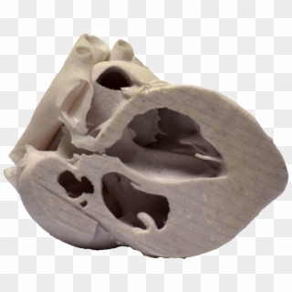 3d Printed Heart Cross Section - Skull Clipart