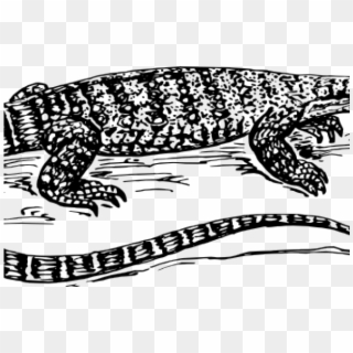 Related Posts - Monitor Lizard Drawing Clipart