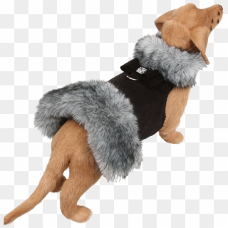 Fur Dog Coat Clipart