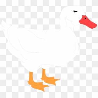 White Duck Clipart Transparent - Png Download