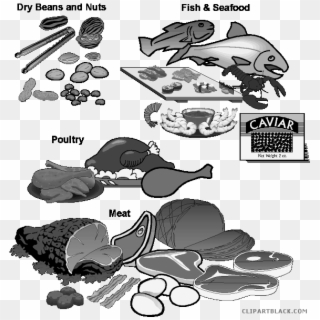 Latest 19 Fish Food Graphic Transparent Library Huge - Basic Food Groups Clipart