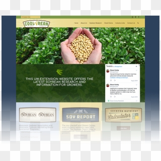 Cool Bean - Farm Production Clipart