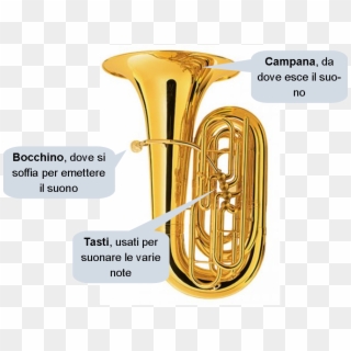 Tuba - Tuba Instruments Clipart