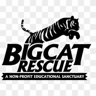 Big Cat Rescue Tampa Logo Clipart